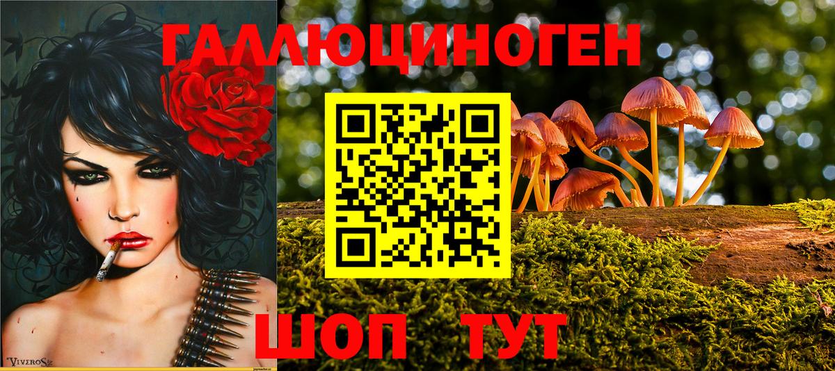 Галлюциногенные грибы Psilocybe  Вход с VPN  Камышлов 