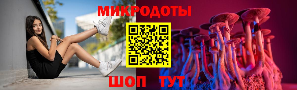 Псилоцибиновые грибы Magic Shrooms Камышлов